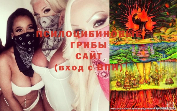 spice Балахна