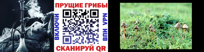 Галлюциногенные грибы MAGIC MUSHROOMS сколько стоит Барабинск