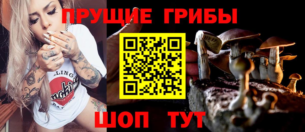 Псилоцибиновые грибы мухоморы Барабинск